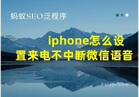 iphone怎么设置来电不中断微信语音