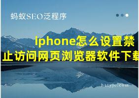 iphone怎么设置禁止访问网页浏览器软件下载