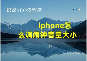 iphone怎么调闹钟音量大小