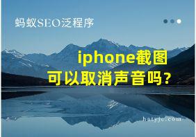 iphone截图可以取消声音吗?