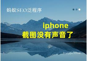 iphone截图没有声音了