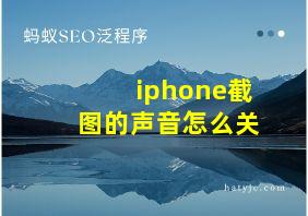 iphone截图的声音怎么关