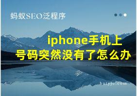 iphone手机上号码突然没有了怎么办