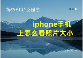 iphone手机上怎么看照片大小