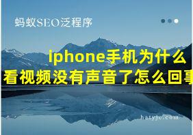 iphone手机为什么看视频没有声音了怎么回事