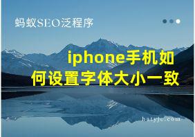 iphone手机如何设置字体大小一致