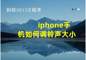 iphone手机如何调铃声大小