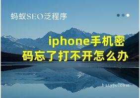 iphone手机密码忘了打不开怎么办