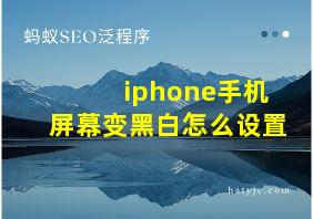 iphone手机屏幕变黑白怎么设置