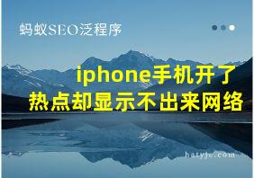 iphone手机开了热点却显示不出来网络