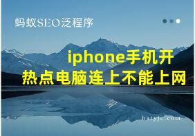 iphone手机开热点电脑连上不能上网