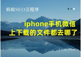 iphone手机微信上下载的文件都去哪了