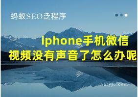 iphone手机微信视频没有声音了怎么办呢