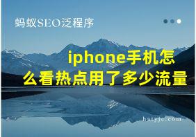 iphone手机怎么看热点用了多少流量