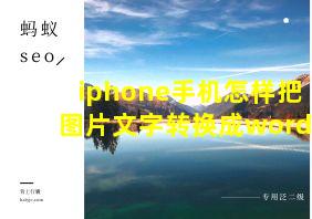 iphone手机怎样把图片文字转换成word