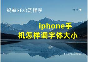 iphone手机怎样调字体大小