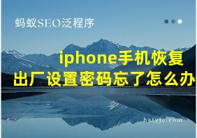 iphone手机恢复出厂设置密码忘了怎么办