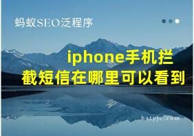 iphone手机拦截短信在哪里可以看到