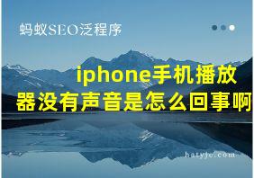 iphone手机播放器没有声音是怎么回事啊