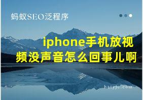 iphone手机放视频没声音怎么回事儿啊