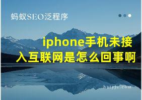 iphone手机未接入互联网是怎么回事啊