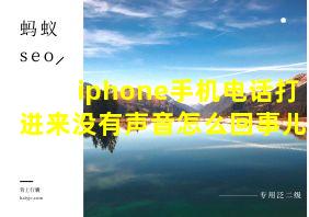 iphone手机电话打进来没有声音怎么回事儿