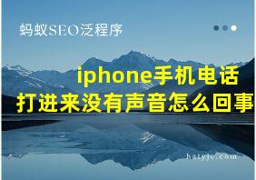 iphone手机电话打进来没有声音怎么回事