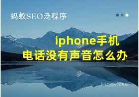 iphone手机电话没有声音怎么办