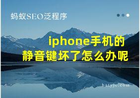 iphone手机的静音键坏了怎么办呢