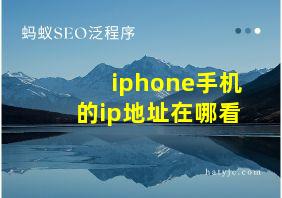 iphone手机的ip地址在哪看