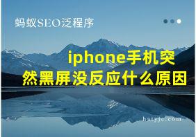 iphone手机突然黑屏没反应什么原因