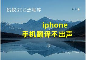 iphone手机翻译不出声