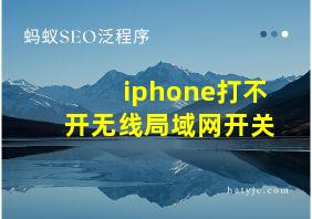 iphone打不开无线局域网开关