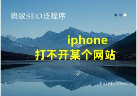 iphone打不开某个网站