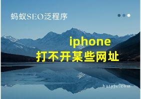 iphone打不开某些网址