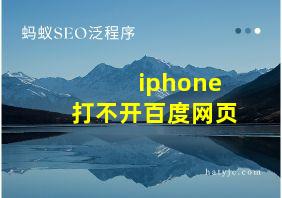 iphone打不开百度网页