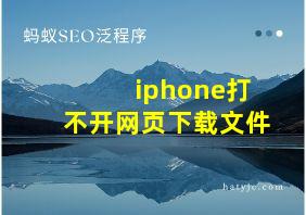 iphone打不开网页下载文件