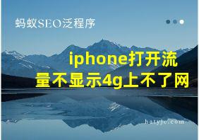 iphone打开流量不显示4g上不了网