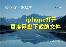 iphone打开百度网盘下载的文件