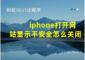 iphone打开网站显示不安全怎么关闭