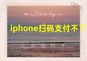 iphone扫码支付不了