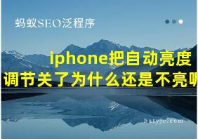 iphone把自动亮度调节关了为什么还是不亮呢