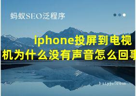 iphone投屏到电视机为什么没有声音怎么回事