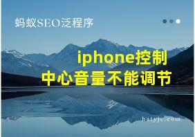 iphone控制中心音量不能调节