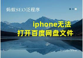 iphone无法打开百度网盘文件