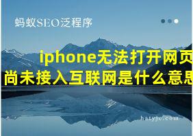 iphone无法打开网页尚未接入互联网是什么意思