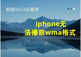 iphone无法播放wma格式