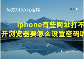 iphone有些网址打不开浏览器要怎么设置密码呢