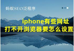 iphone有些网址打不开浏览器要怎么设置