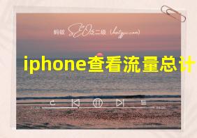 iphone查看流量总计